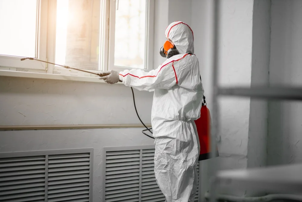 Professional mold remediation services in Mishicot, WI